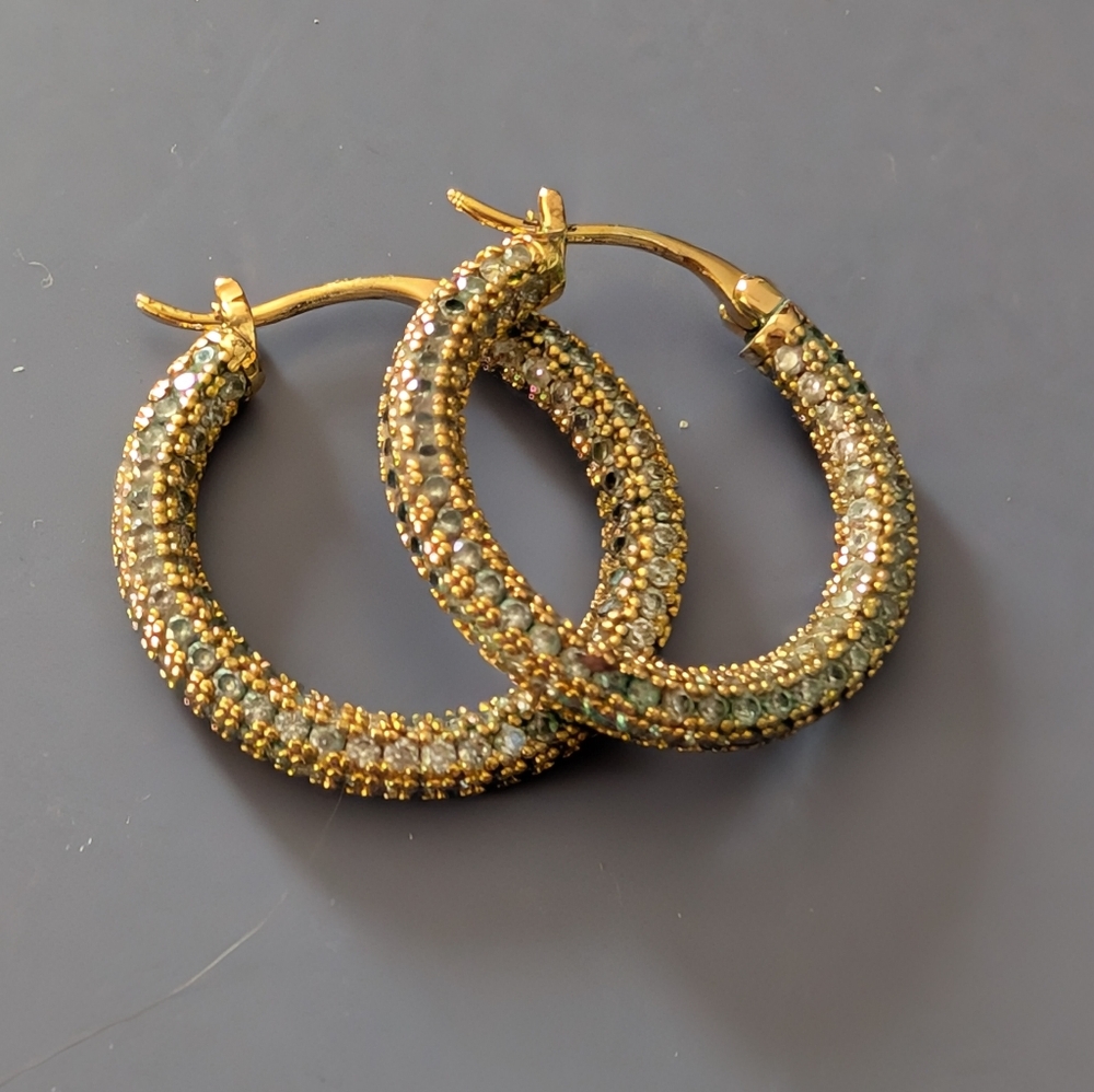 Elegant Gold and Silver Hoop Earrings